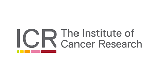 https://dev.oraclehnc.org.uk/wp-content/uploads/2019/01/The-Institute-Cancer-research-logo.png